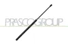 Gasfeder, Koffer-/Laderaum hinten links hinten rechts PRASCO CI2069059