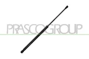 Gasfeder, Koffer-/Laderaum hinten links hinten rechts PRASCO CI2069059
