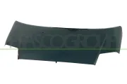 Motorhaube PRASCO CI3043100