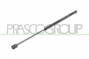 Gasfeder, Koffer-/Laderaum beidseitig PRASCO CI3049055