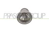 Nebelscheinwerfer links PRASCO CI3204413