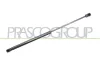 Gasfeder, Koffer-/Laderaum hinten links hinten rechts PRASCO CI3249055