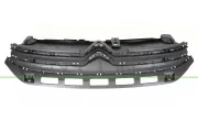 Kühlergitter PRASCO CI3282001
