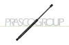 Gasfeder, Koffer-/Laderaum hinten links hinten rechts PRASCO CI3289055