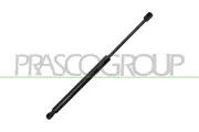 Gasfeder, Koffer-/Laderaum hinten links hinten rechts PRASCO CI3289055