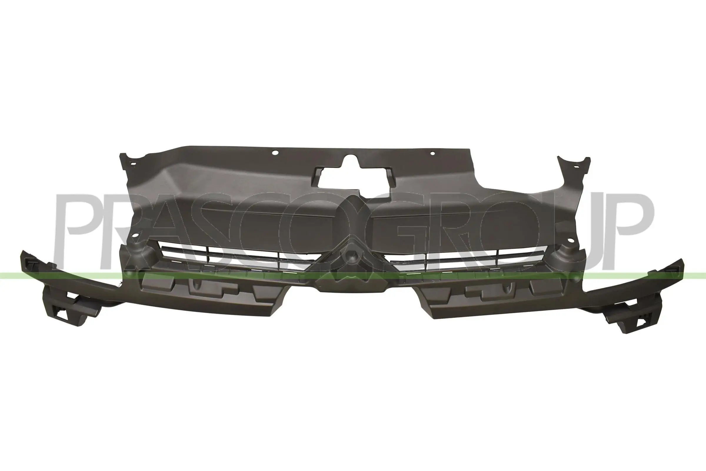 Halter, Kühlergitter PRASCO CI4242102