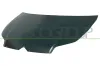 Motorhaube PRASCO CI4243100