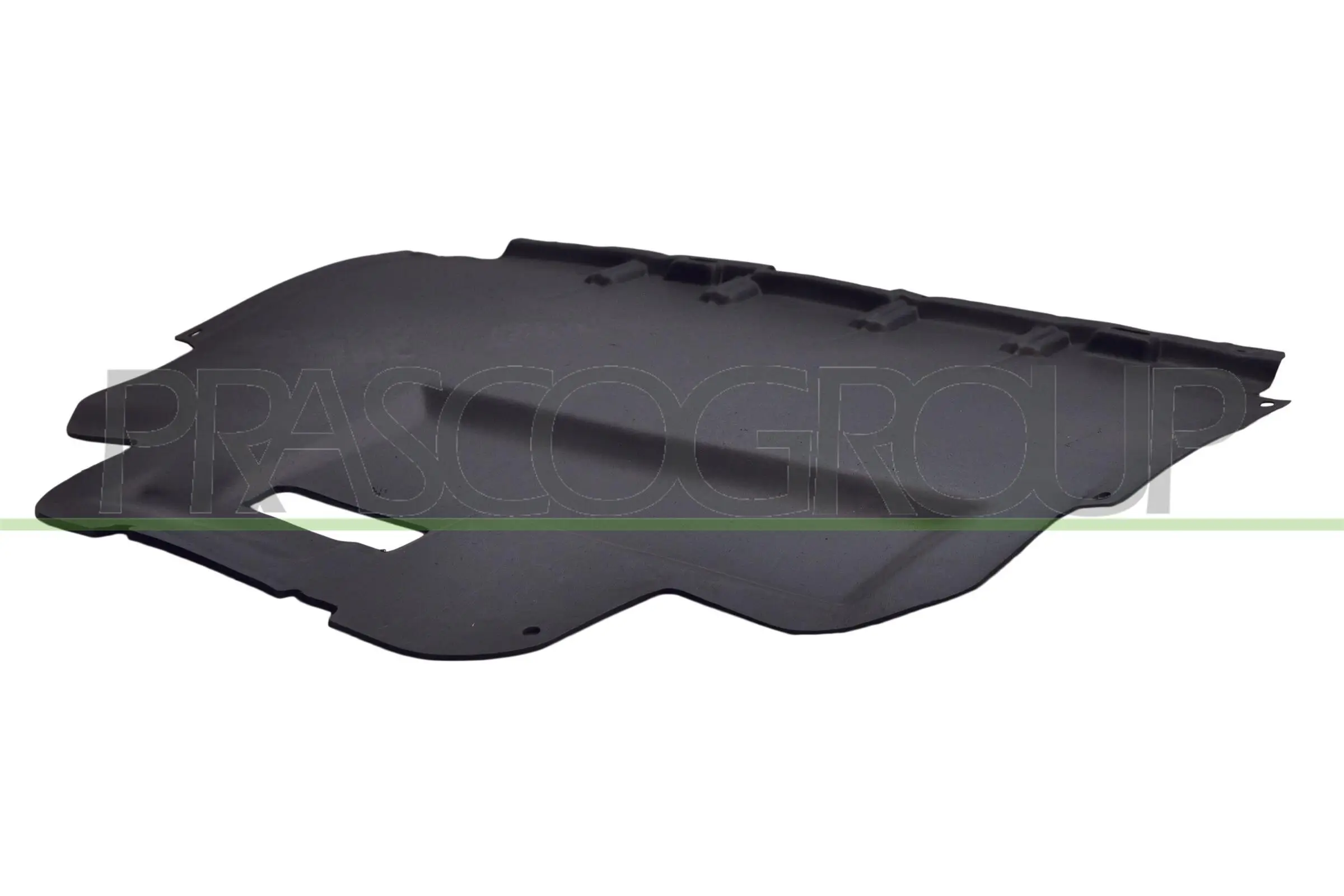 Motorraumdämmung Fahrzeugfront PRASCO CI5201910