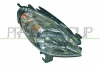 Hauptscheinwerfer rechts PRASCO CI7154603