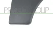 Zier-/Schutzleiste, Kotflügel vorne rechts PRASCO CI9151401