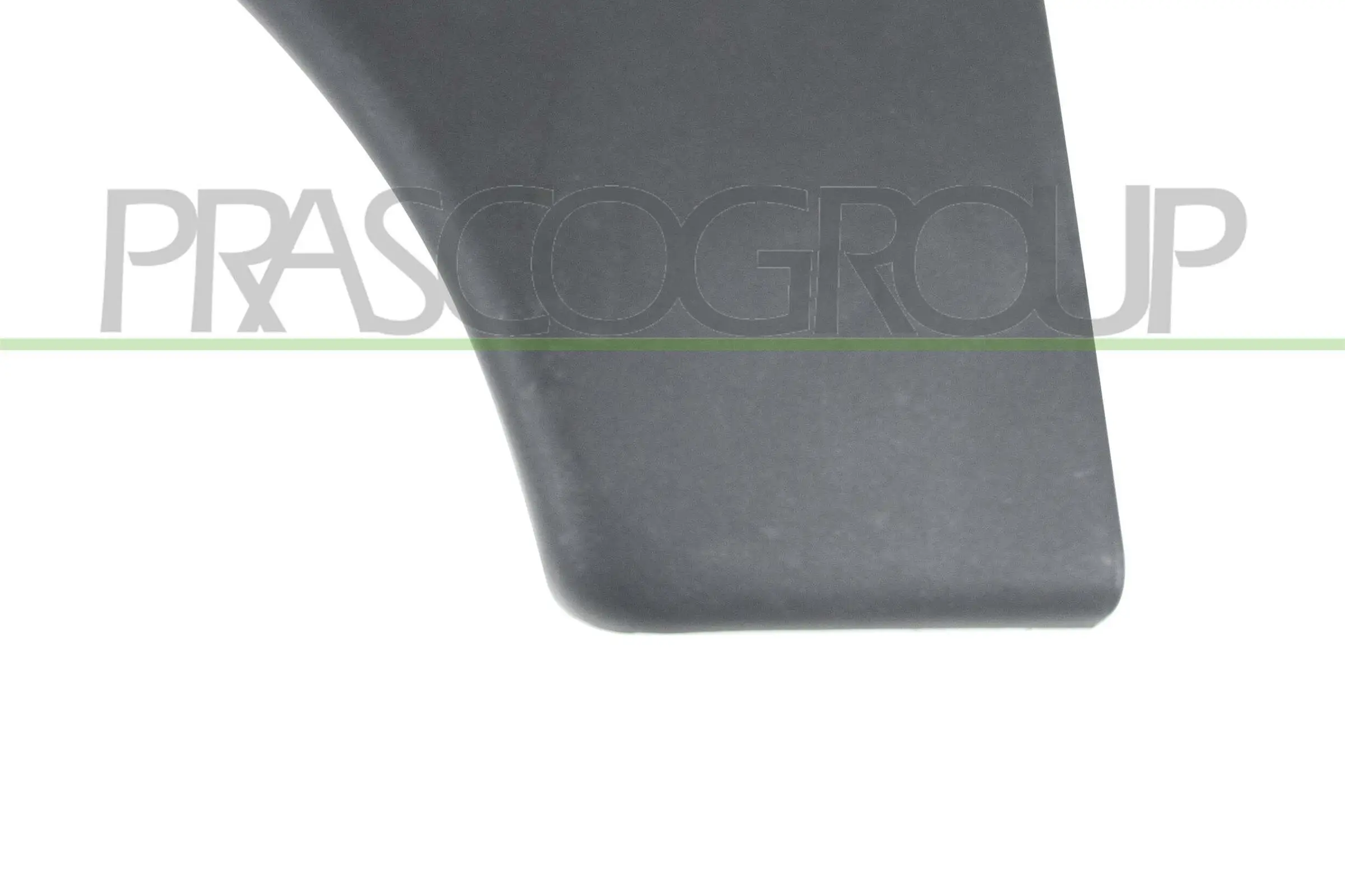 Zier-/Schutzleiste, Tür vorne links PRASCO CI9151402