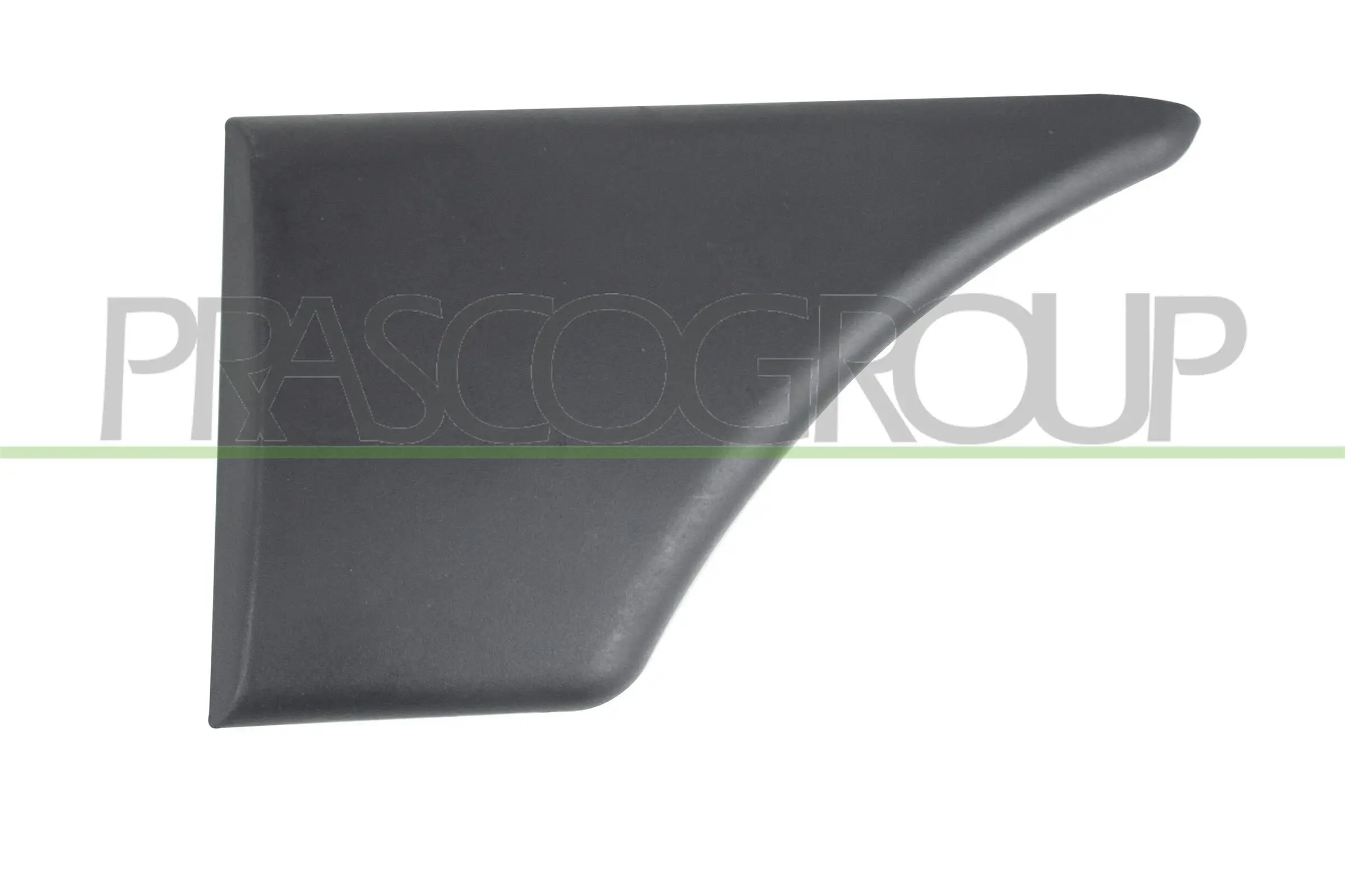 Zier-/Schutzleiste, Kotflügel hinten links PRASCO CI9151456