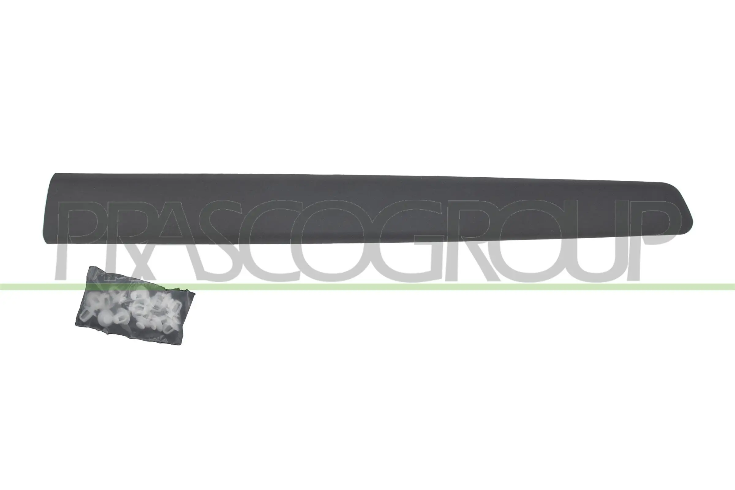 Zier-/Schutzleiste, Tür vorne links PRASCO CI9181404
