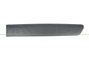 Zier-/Schutzleiste, Tür hinten links PRASCO CI9181454