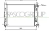Kühler, Motorkühlung PRASCO DA226R002