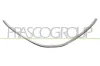 Kühlergitter PRASCO DA3202207