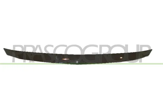 Zier-/Schutzleiste, Kühlergitter PRASCO DA3222206 Bild Zier-/Schutzleiste, Kühlergitter PRASCO DA3222206