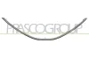 Kühlergitter PRASCO DA4182226