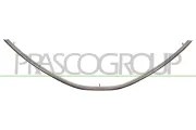 Kühlergitter PRASCO DA4182226