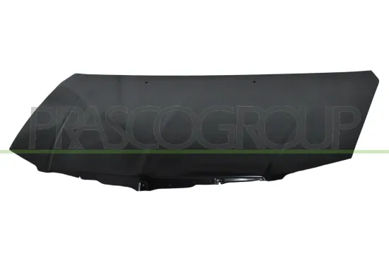 Motorhaube PRASCO DG0113110 Bild Motorhaube PRASCO DG0113110