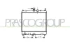 K&uuml;hler, Motork&uuml;hlung PRASCO DS011R009