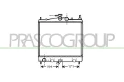 Kühler, Motorkühlung PRASCO DS011R009