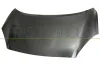 Motorhaube PRASCO DS0143100