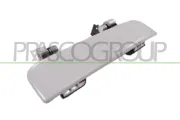 Türaußengriff hinten Fahrzeugheckklappe PRASCO DS0148303