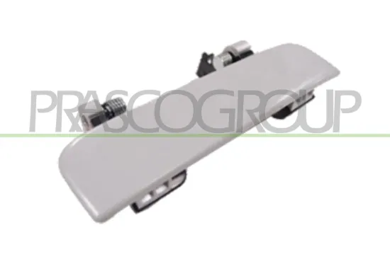 Türaußengriff hinten Fahrzeugheckklappe PRASCO DS0148303 Bild Türaußengriff hinten Fahrzeugheckklappe PRASCO DS0148303