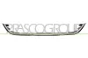 Zier-/Schutzleiste, Kühlergitter PRASCO DS0152206