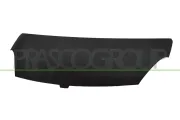 Motorhaube PRASCO DS2203100