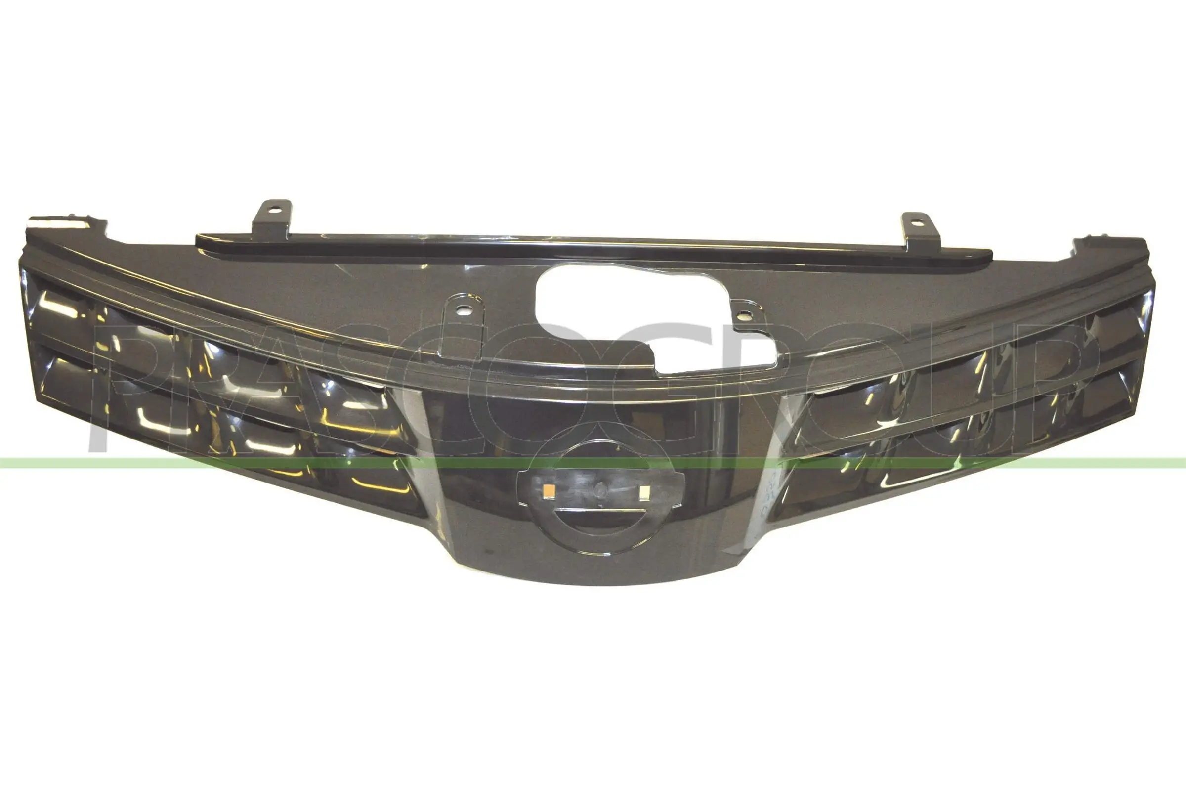 Kühlergitter PRASCO DS3502001