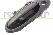 Türaußengriff außen vorne links PRASCO DS4228002