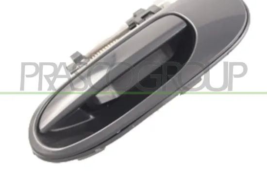 Türaußengriff außen hinten links PRASCO DS4228102 Bild Türaußengriff außen hinten links PRASCO DS4228102