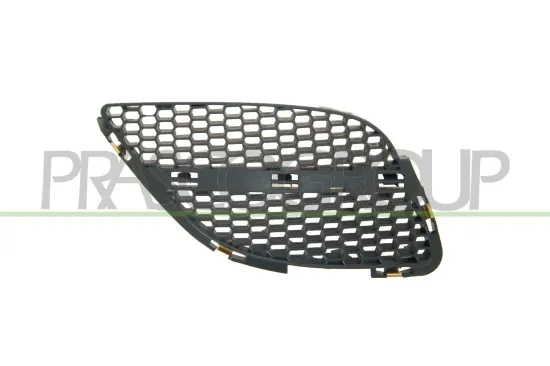 Kühlergitter rechts PRASCO DS4242003 Bild Kühlergitter rechts PRASCO DS4242003