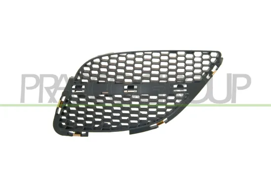 Kühlergitter links PRASCO DS4242004 Bild Kühlergitter links PRASCO DS4242004