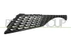 Kühlergitter links PRASCO DS7002004