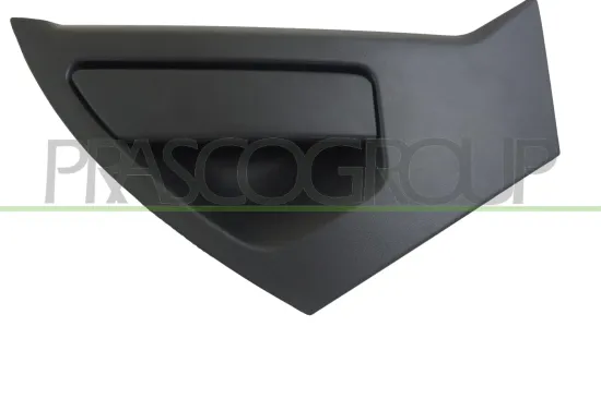 Türaußengriff außen hinten links PRASCO DS7008102 Bild Türaußengriff außen hinten links PRASCO DS7008102
