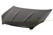 Motorhaube PRASCO DS7103100
