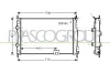 Kühler, Motorkühlung PRASCO DS710R005