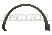 Verbreiterung, Kotflügel vorne links PRASCO DS7121582