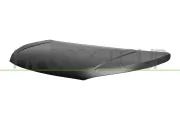 Motorhaube PRASCO DS7163100