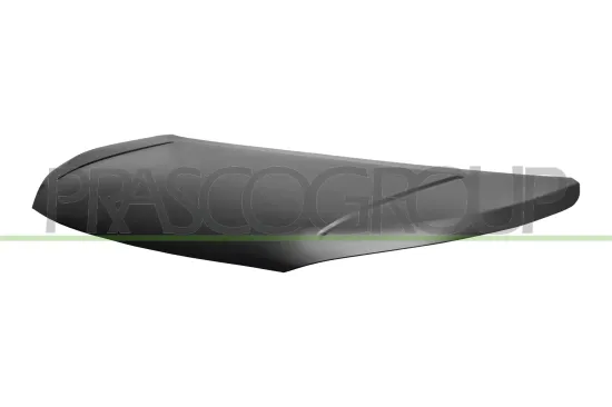 Motorhaube PRASCO DS7163100 Bild Motorhaube PRASCO DS7163100