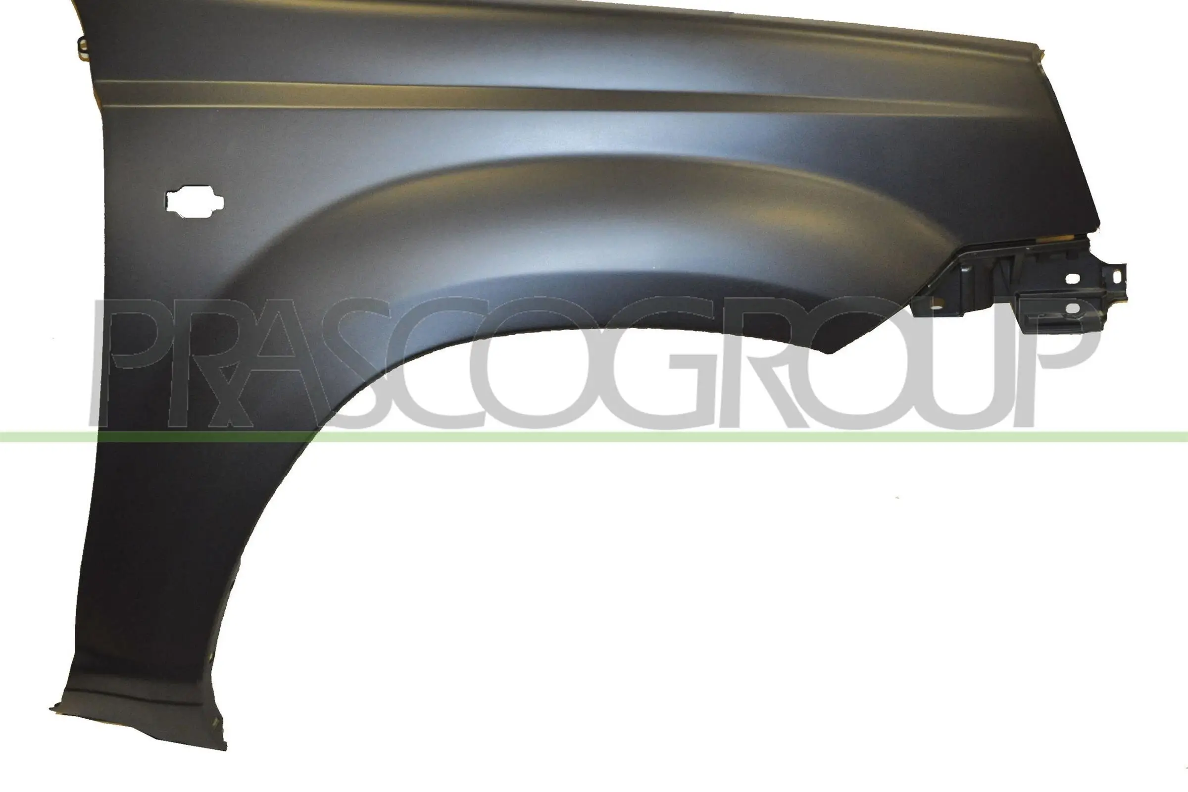 Kotflügel vorne links PRASCO DS8303014