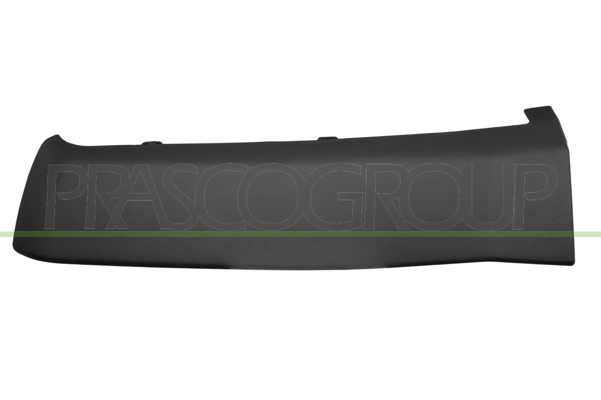 Zier-/Schutzleiste, Kotflügel hinten links PRASCO DS8321574