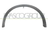 Verbreiterung, Kotfl&uuml;gel vorne links PRASCO DS8361572