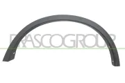 Verbreiterung, Kotflügel hinten links PRASCO DS8361574