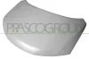 Motorhaube PRASCO DS8363100