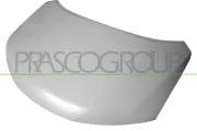 Motorhaube PRASCO DS8363100