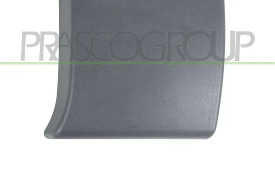 Zier-/Schutzleiste, Tür vorne links PRASCO DS9521416 Bild Zier-/Schutzleiste, Tür vorne links PRASCO DS9521416